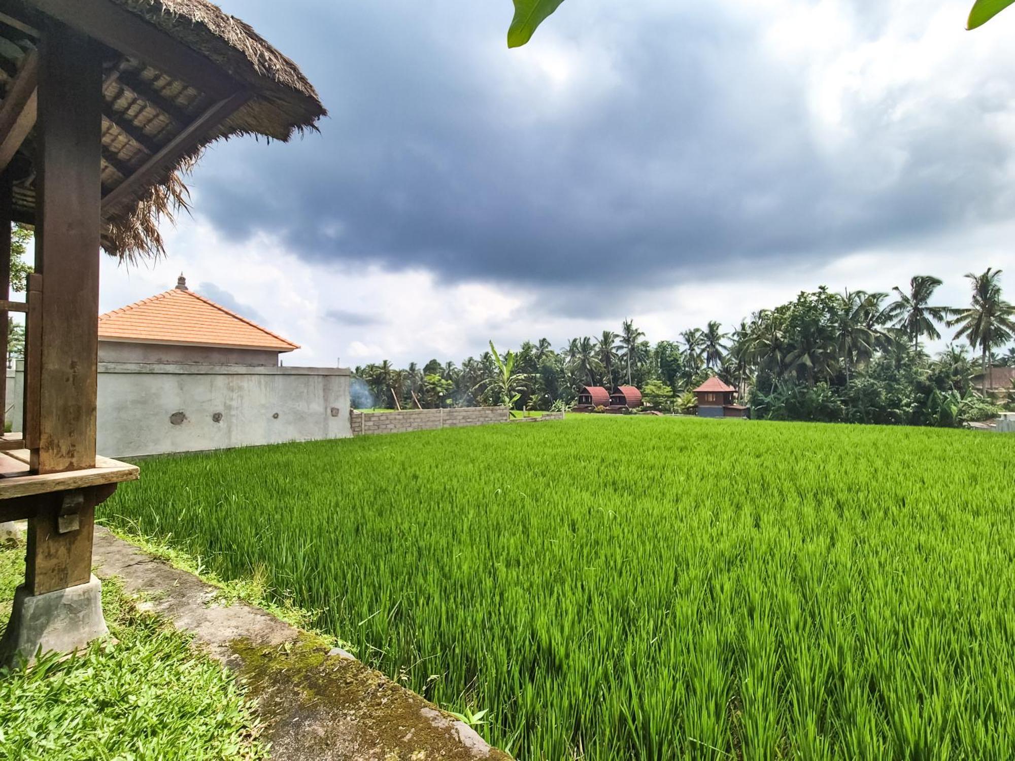 Villa Padi Menari Ubud Exteriér fotografie