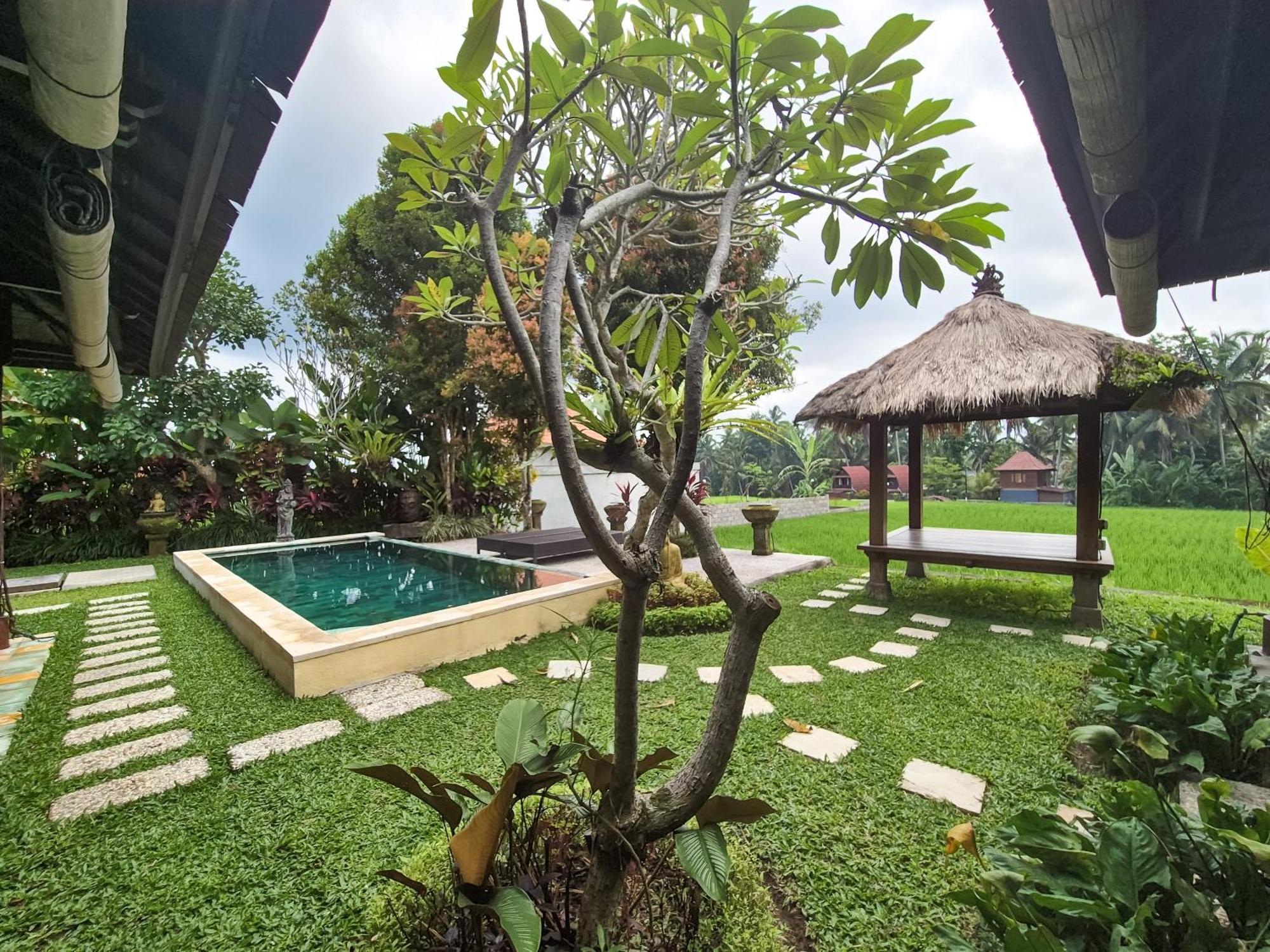 Villa Padi Menari Ubud Exteriér fotografie