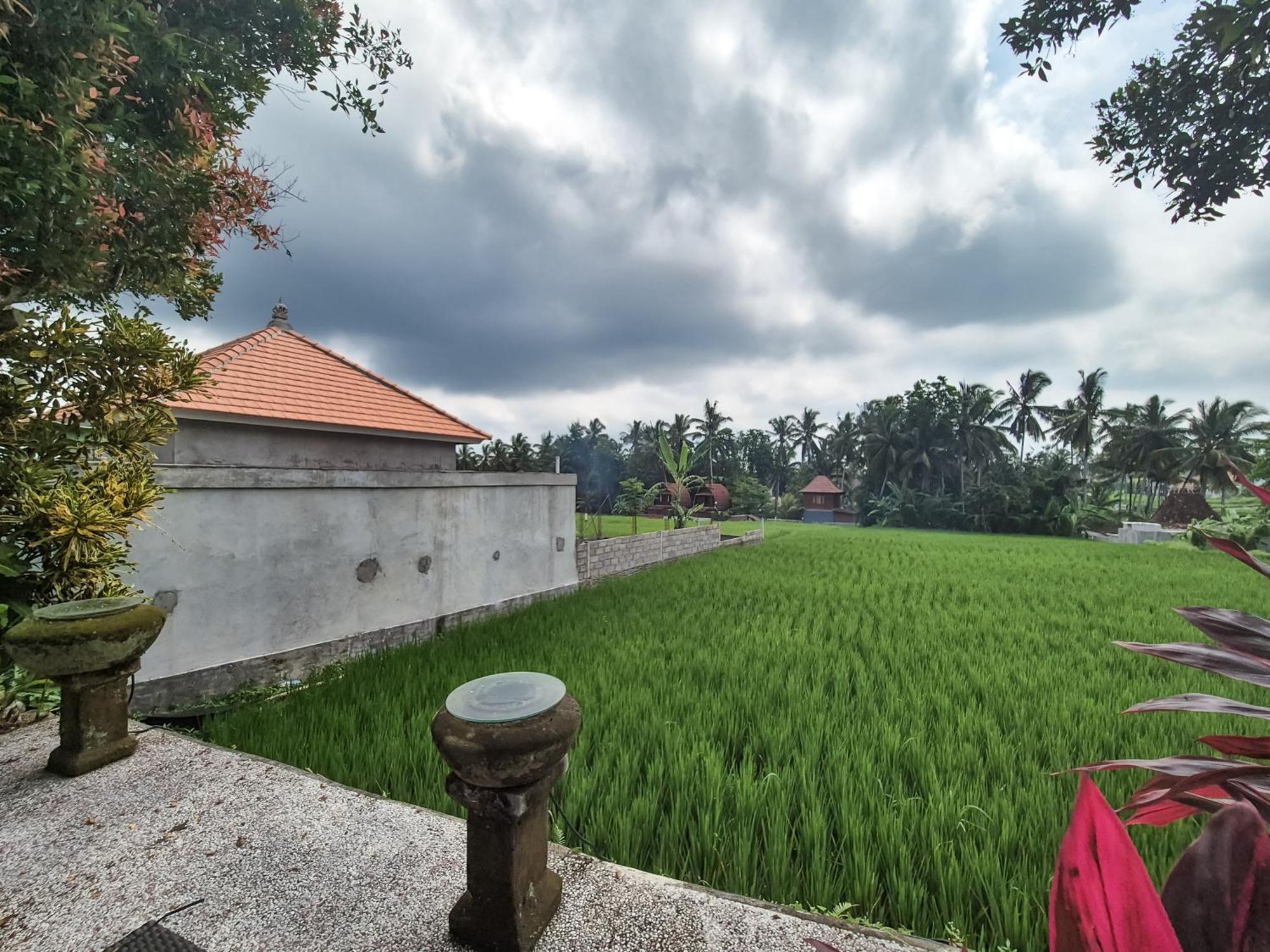 Villa Padi Menari Ubud Exteriér fotografie