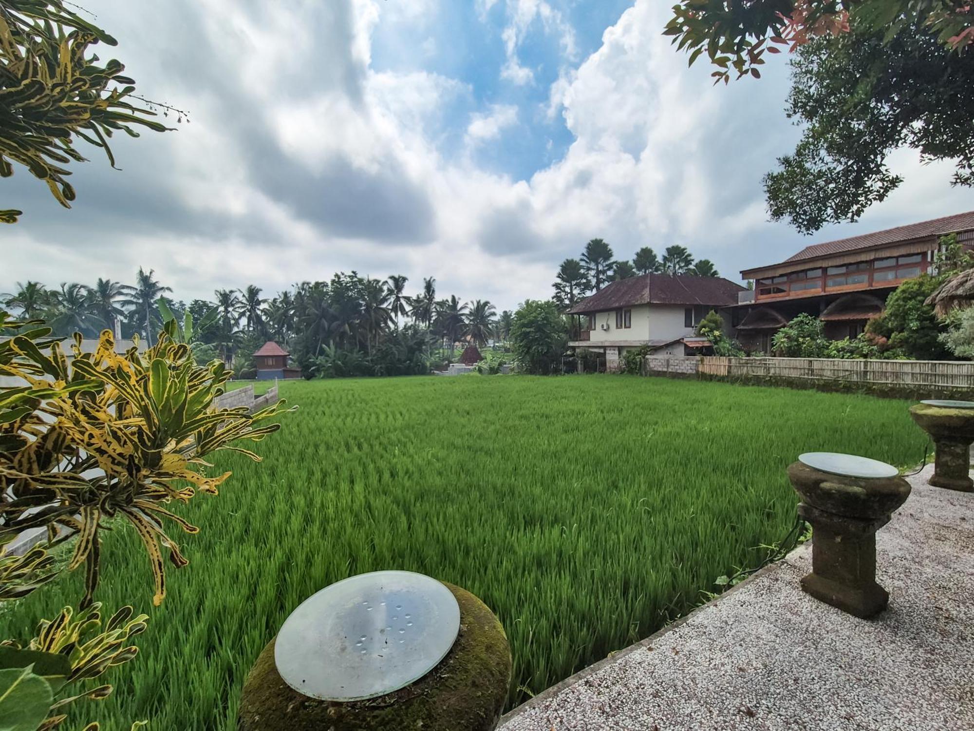 Villa Padi Menari Ubud Exteriér fotografie