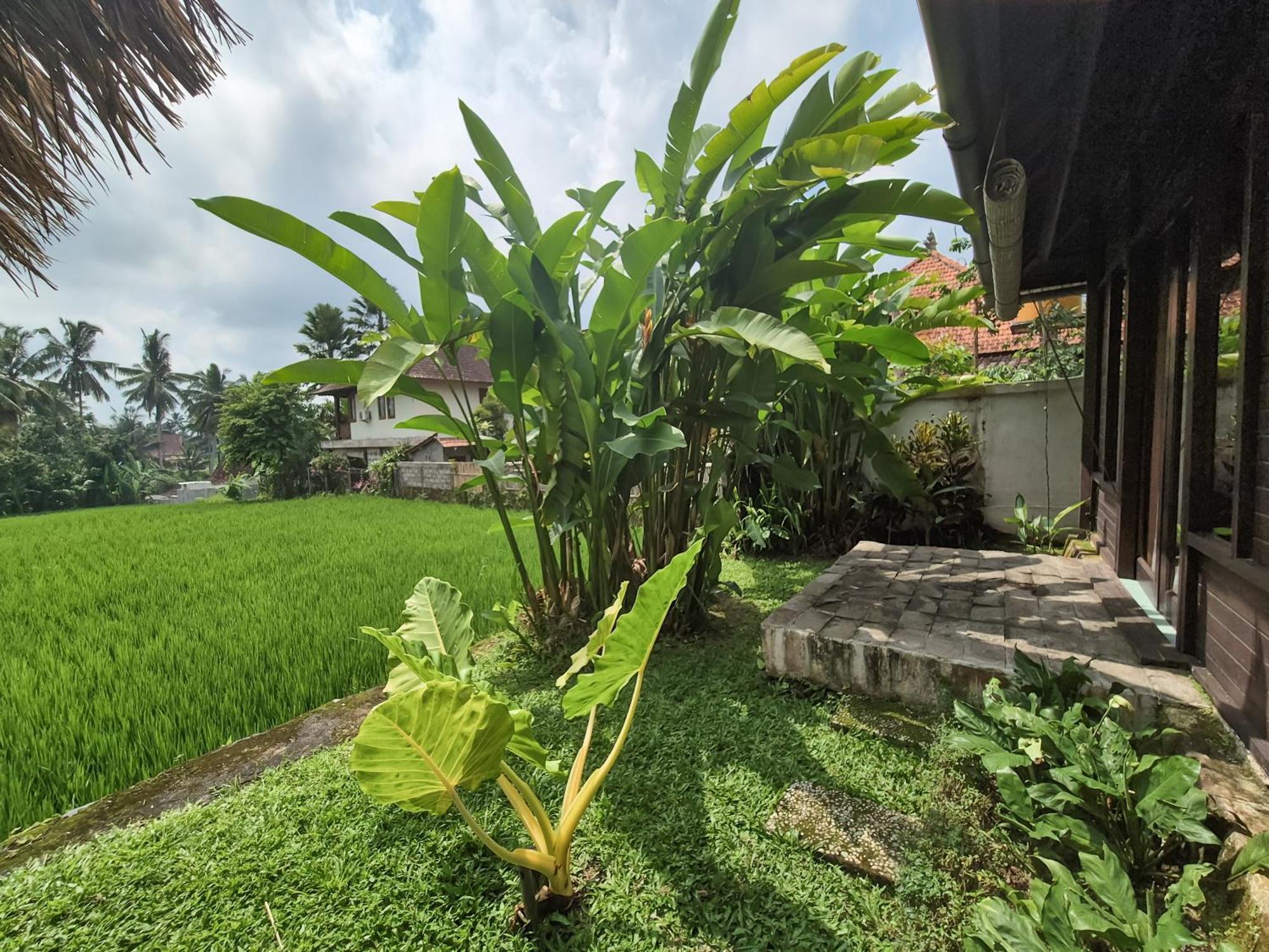 Villa Padi Menari Ubud Exteriér fotografie